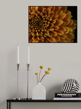 macro shot of a beautiful yellow flower Poster och Canvastavla