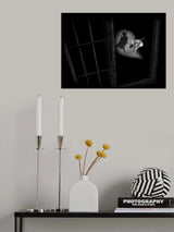 see my shadow Poster och Canvastavla