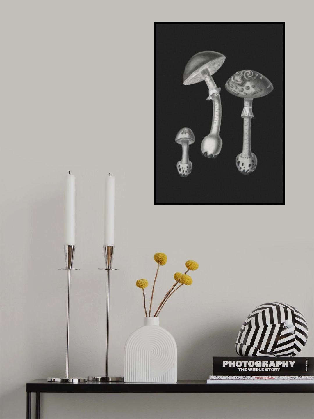 Amanita Muscaria  Black Backgound BW Poster och Canvastavla