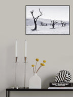 Deadvlei Poster och Canvastavla