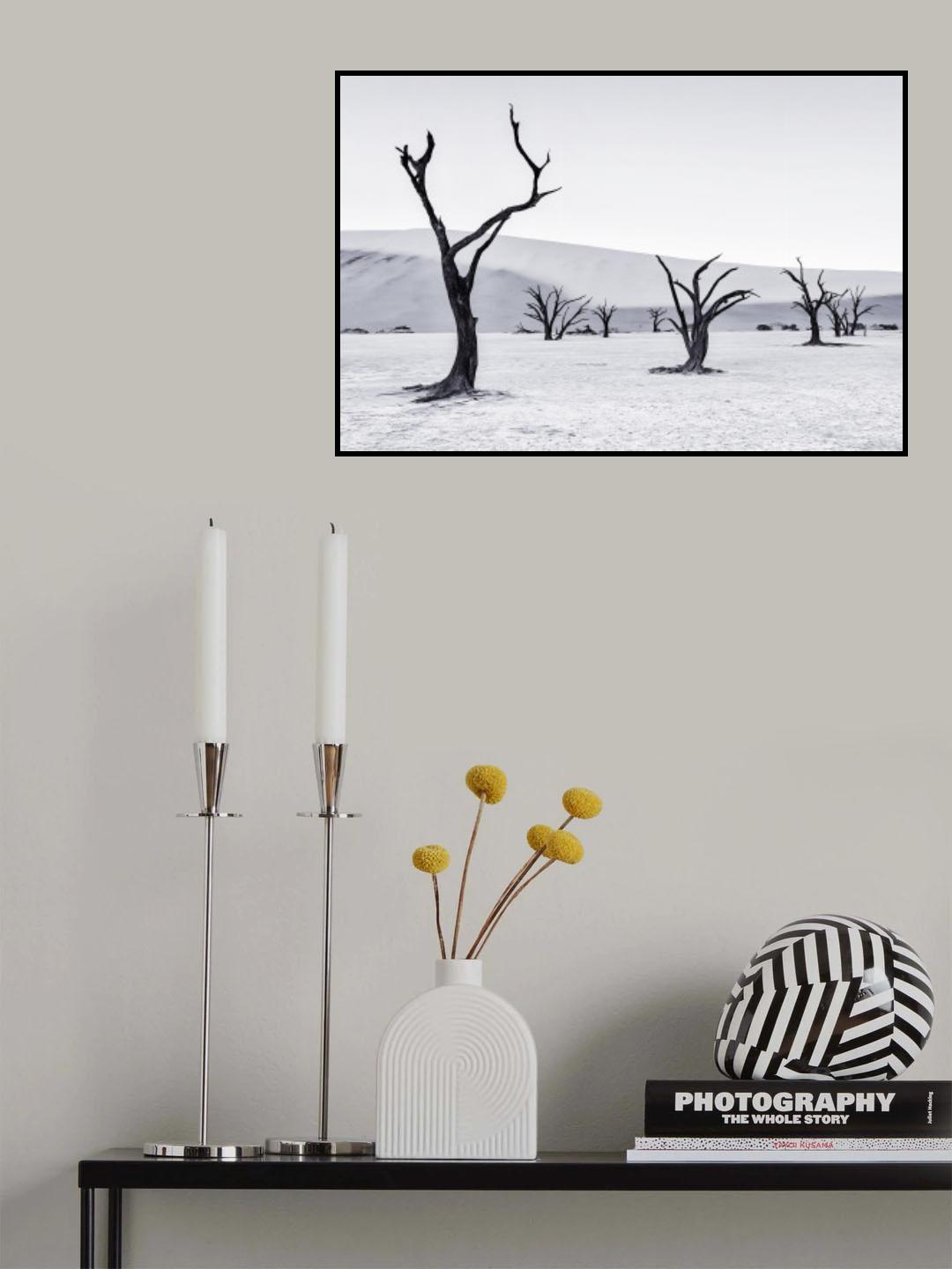 Deadvlei Poster och Canvastavla