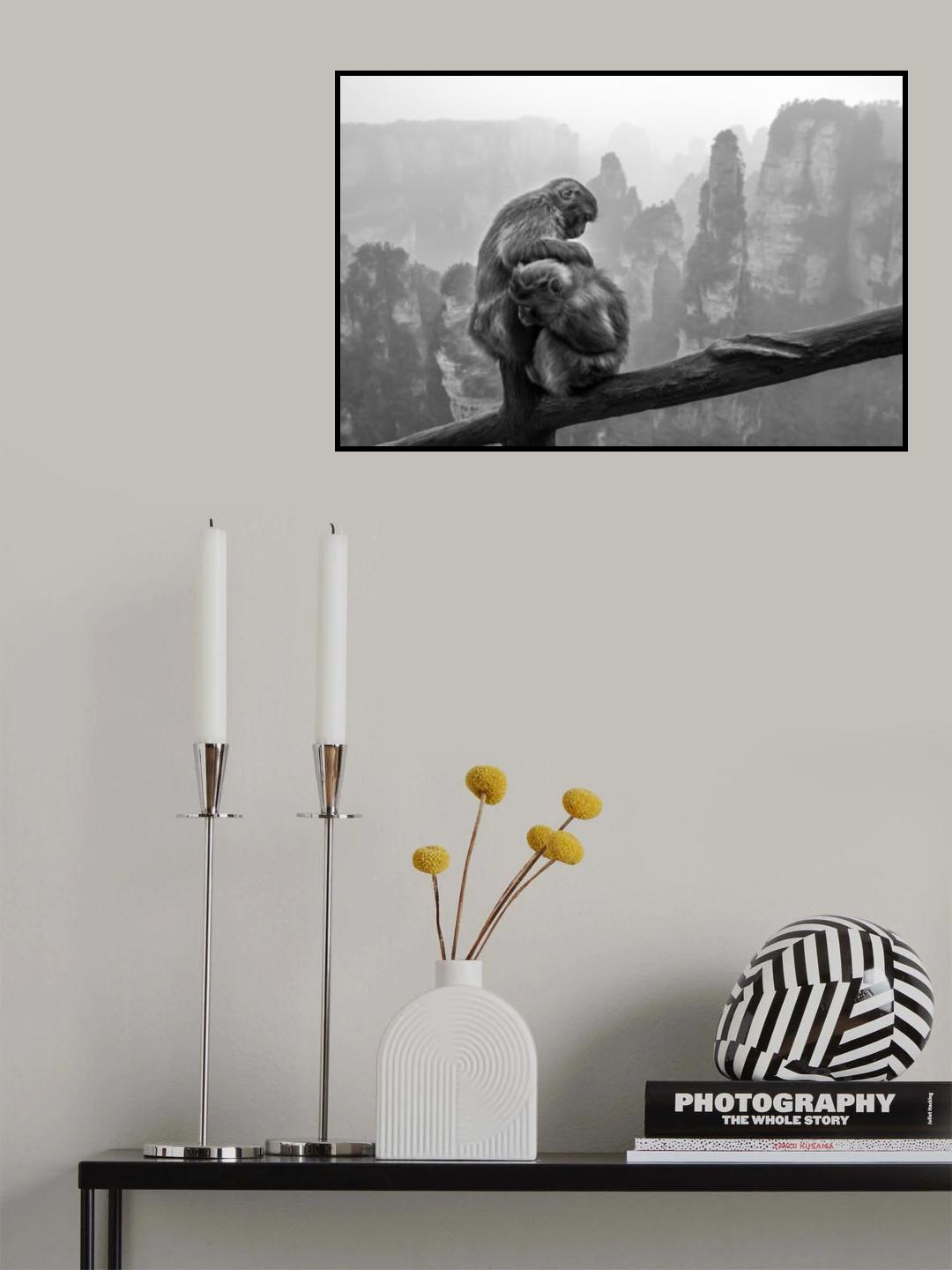Look for fleas Poster och Canvastavla