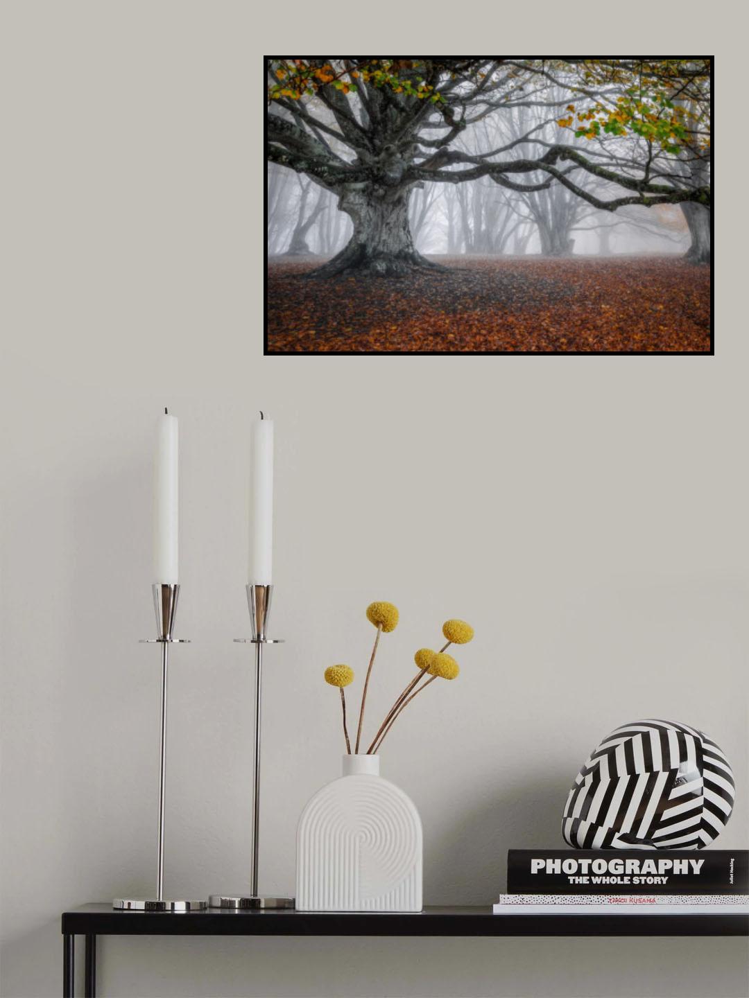 Autumn scenery Poster och Canvastavla