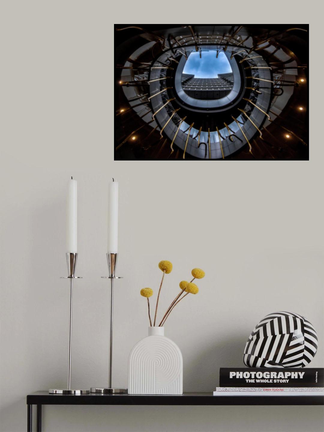 Spider Poster och Canvastavla