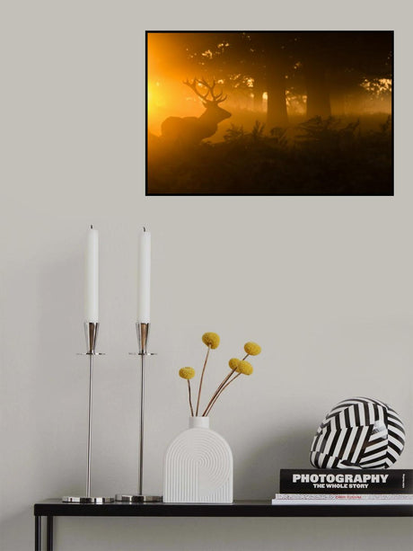 Stag in the mist Poster och Canvastavla
