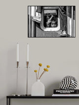 Journey 19 Poster och Canvastavla