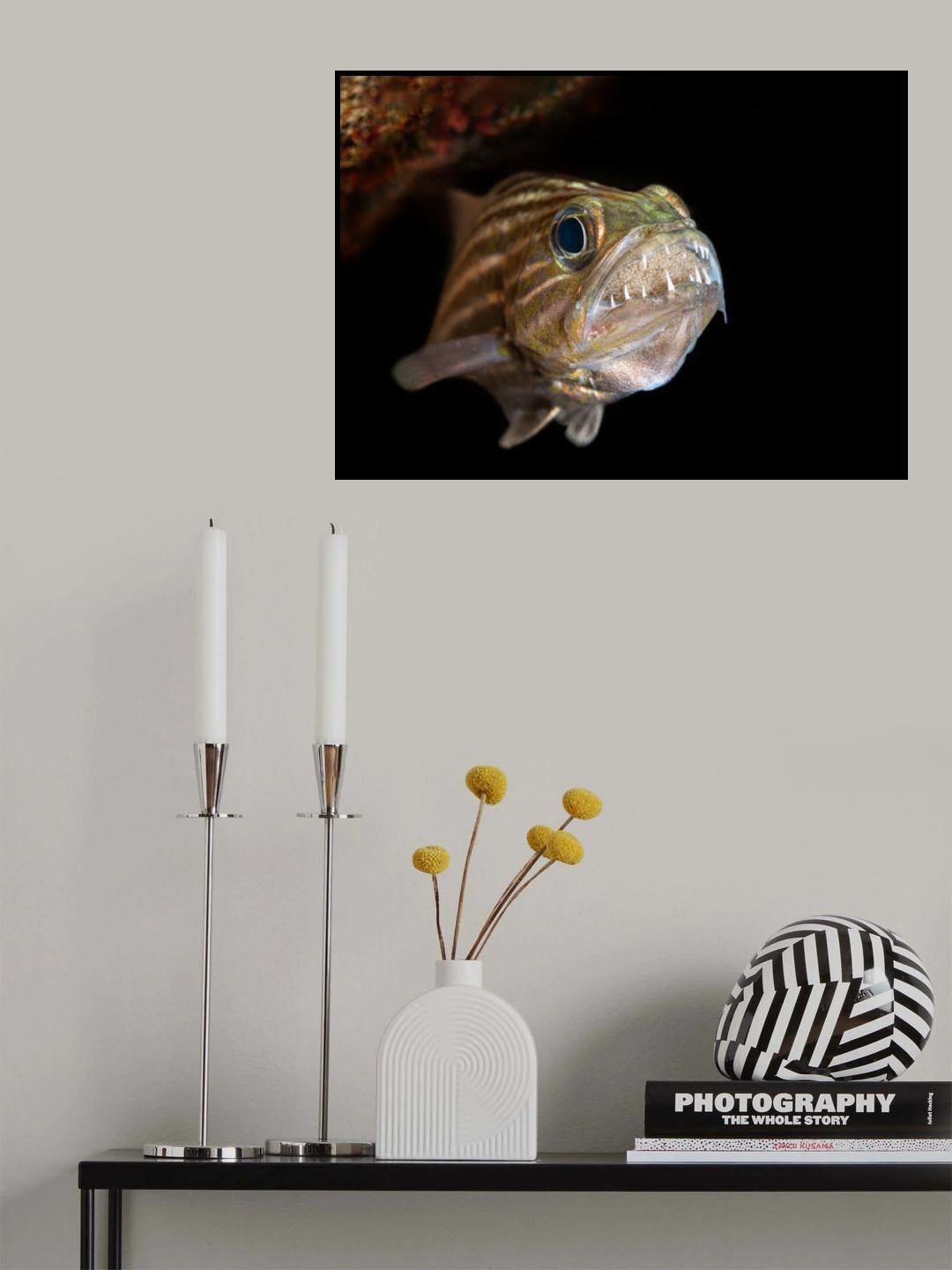 A Super Mother  (with all eggs in mouth) Poster och Canvastavla