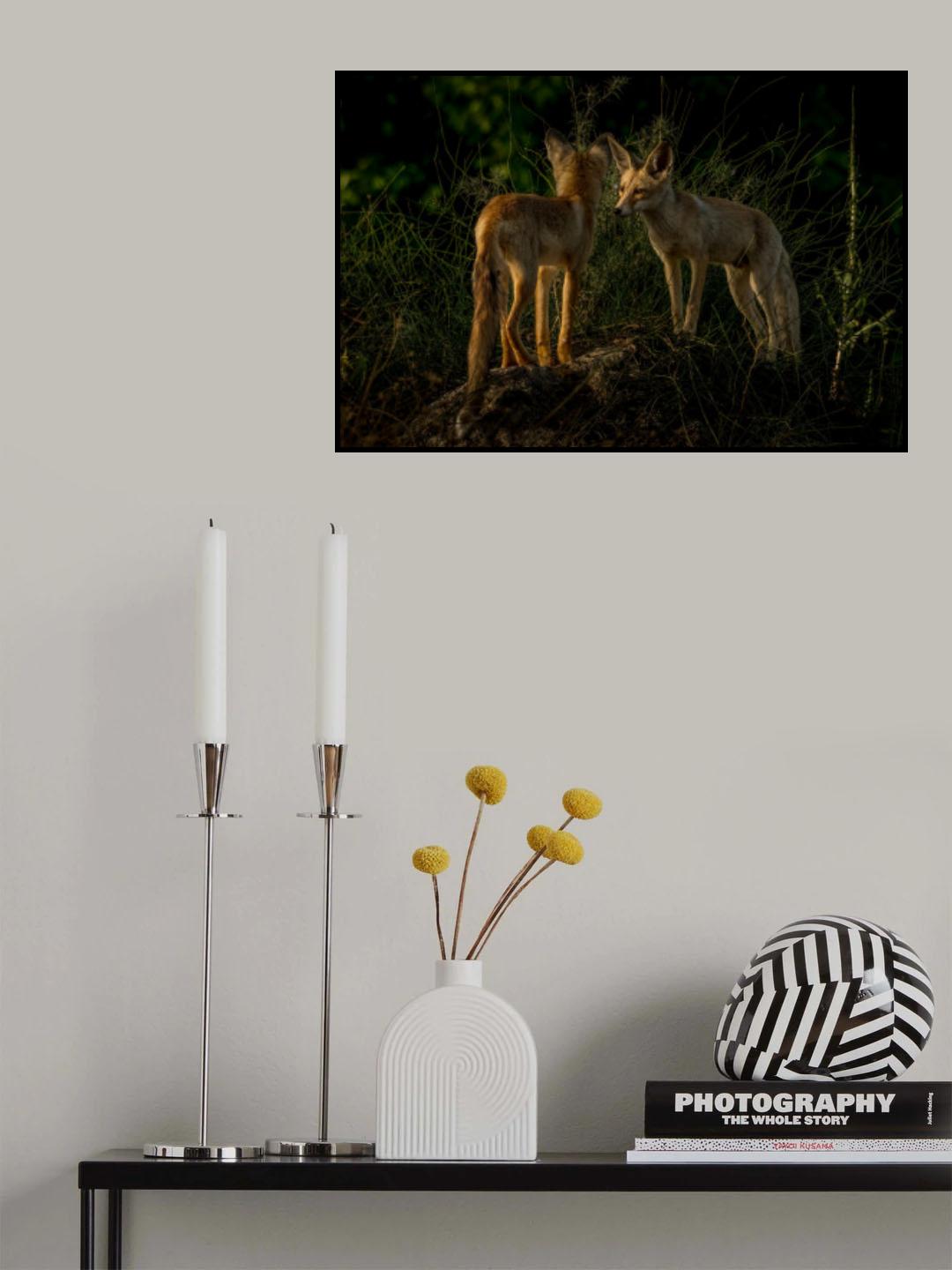 Brothers Poster och Canvastavla