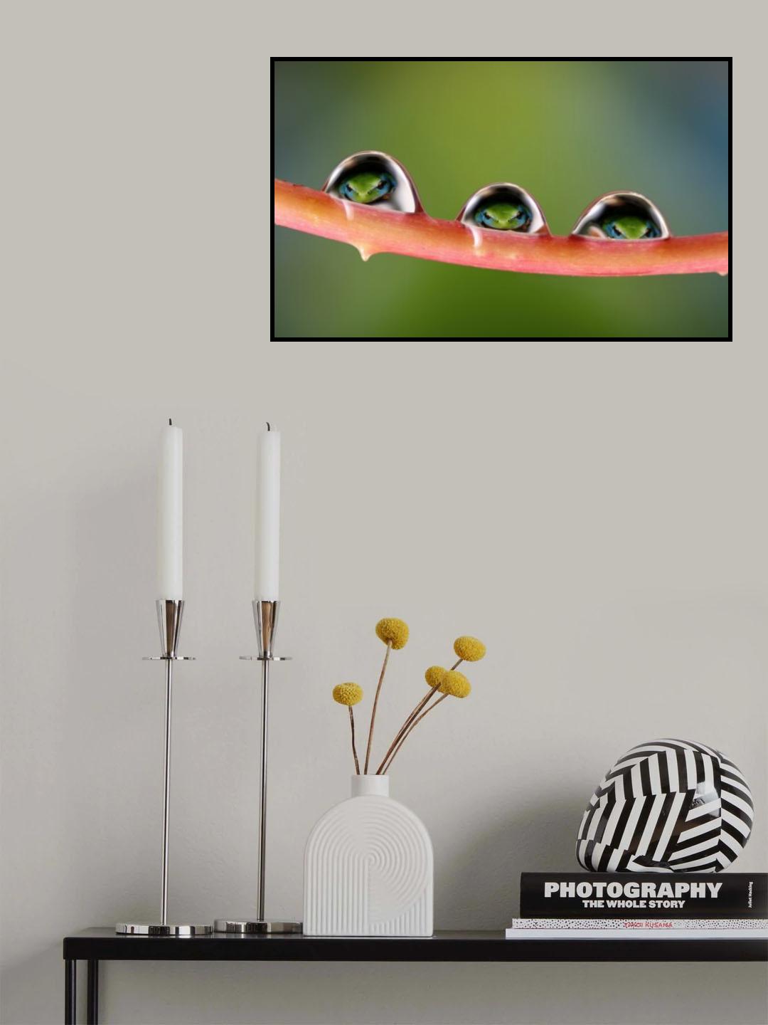 T(h)reefrogs Poster och Canvastavla