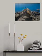 Whisper Poster och Canvastavla