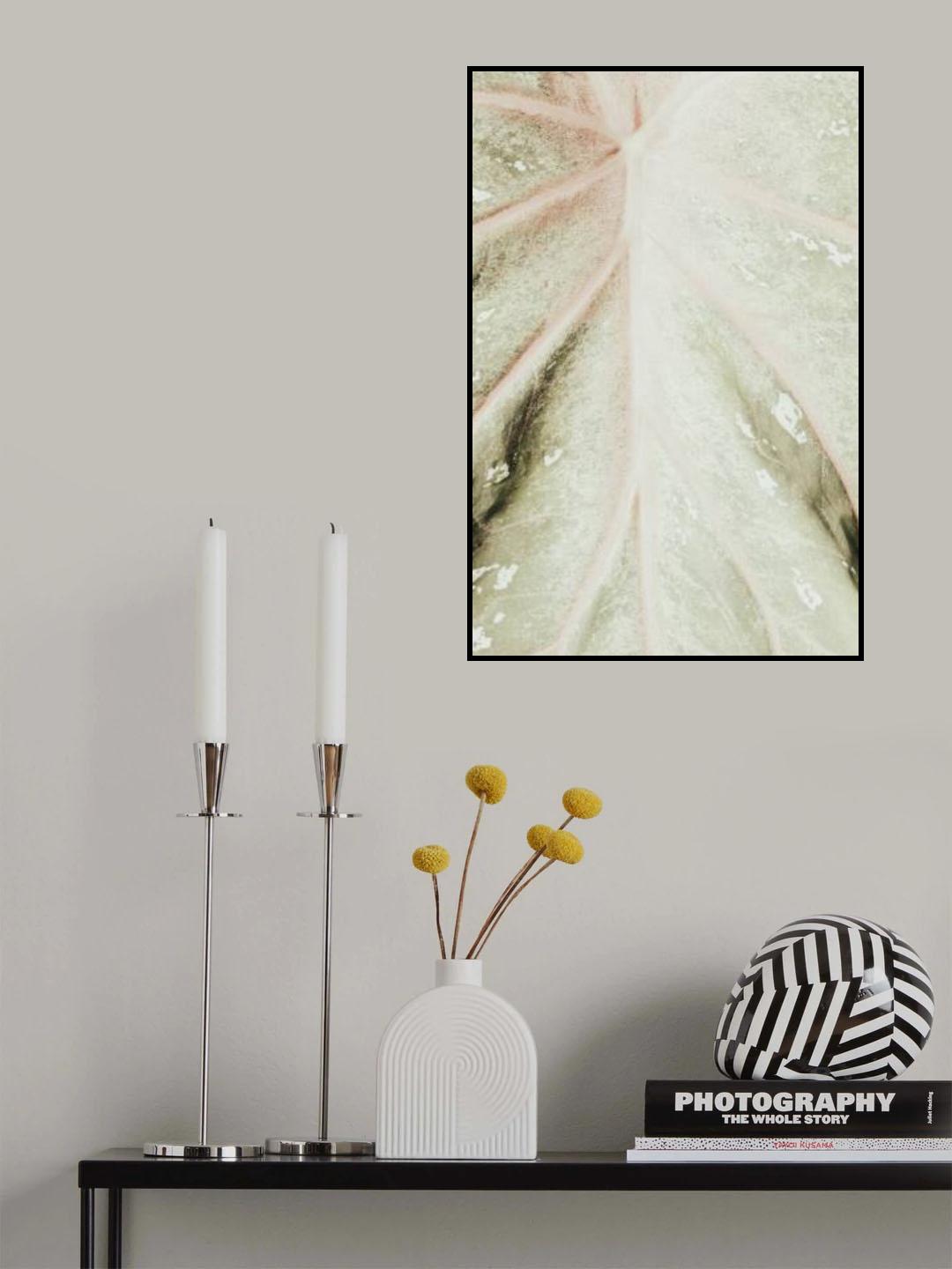 Light green leaf Poster och Canvastavla