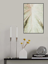 Light green leaf Poster och Canvastavla
