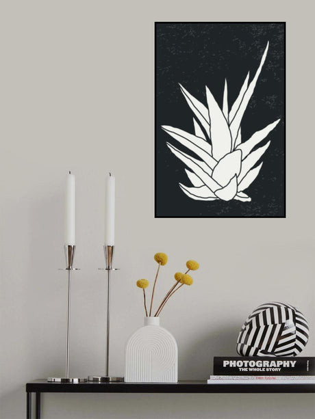 Agave #1 Poster och Canvastavla
