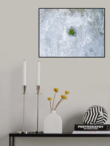 The last tree and trash can Poster och Canvastavla