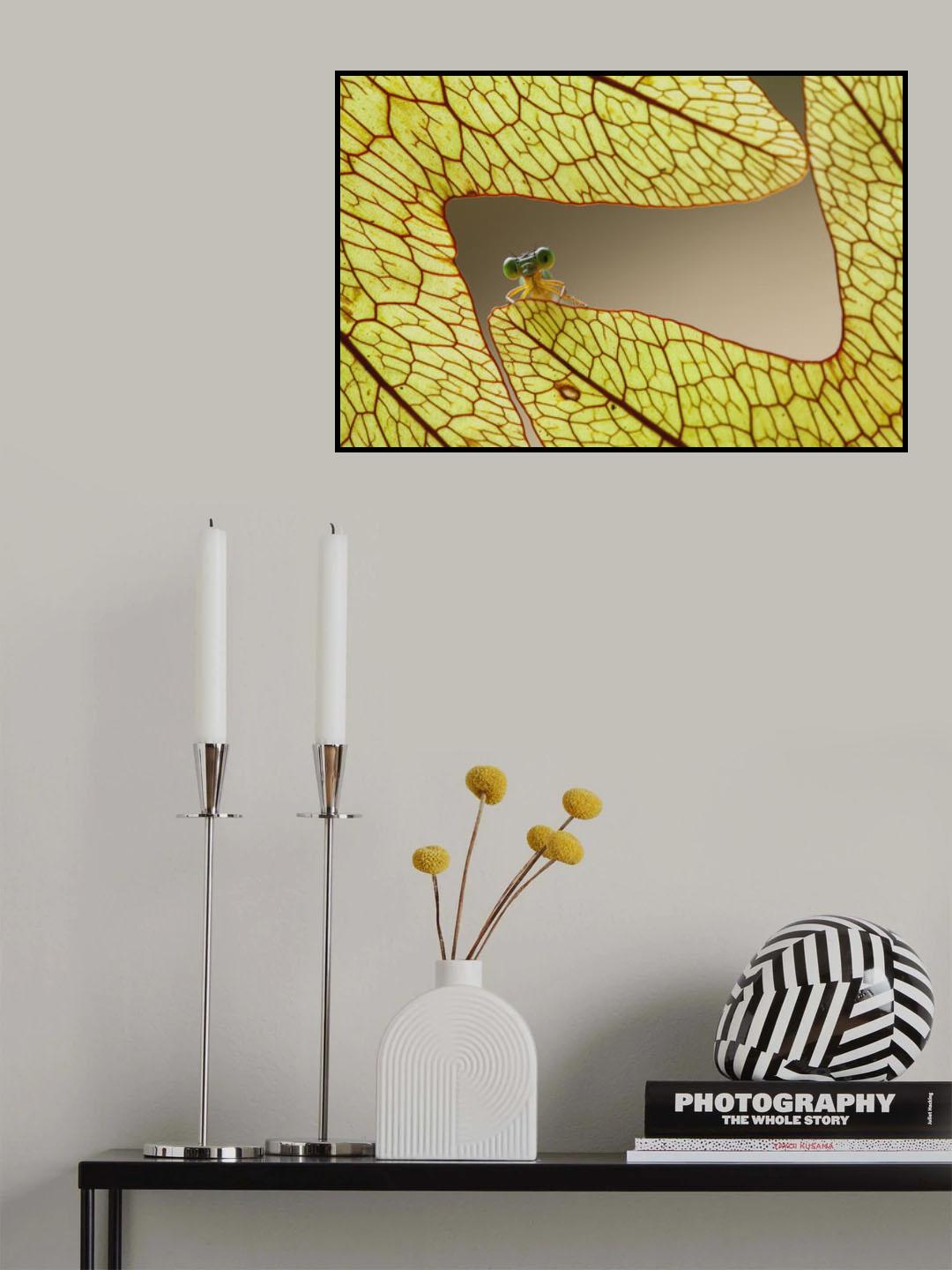 Dragonfly and Leaves of Lukut Poster och Canvastavla