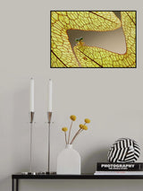 Dragonfly and Leaves of Lukut Poster och Canvastavla