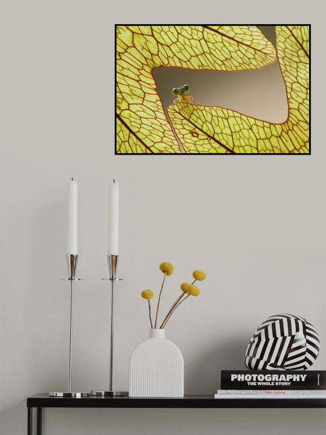 Dragonfly and Leaves of Lukut Poster och Canvastavla