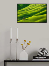 One... Poster och Canvastavla