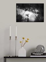 Poster och Canvastavla