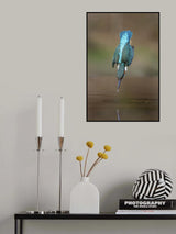 The Dive Poster och Canvastavla