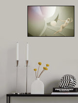 suspended Poster och Canvastavla
