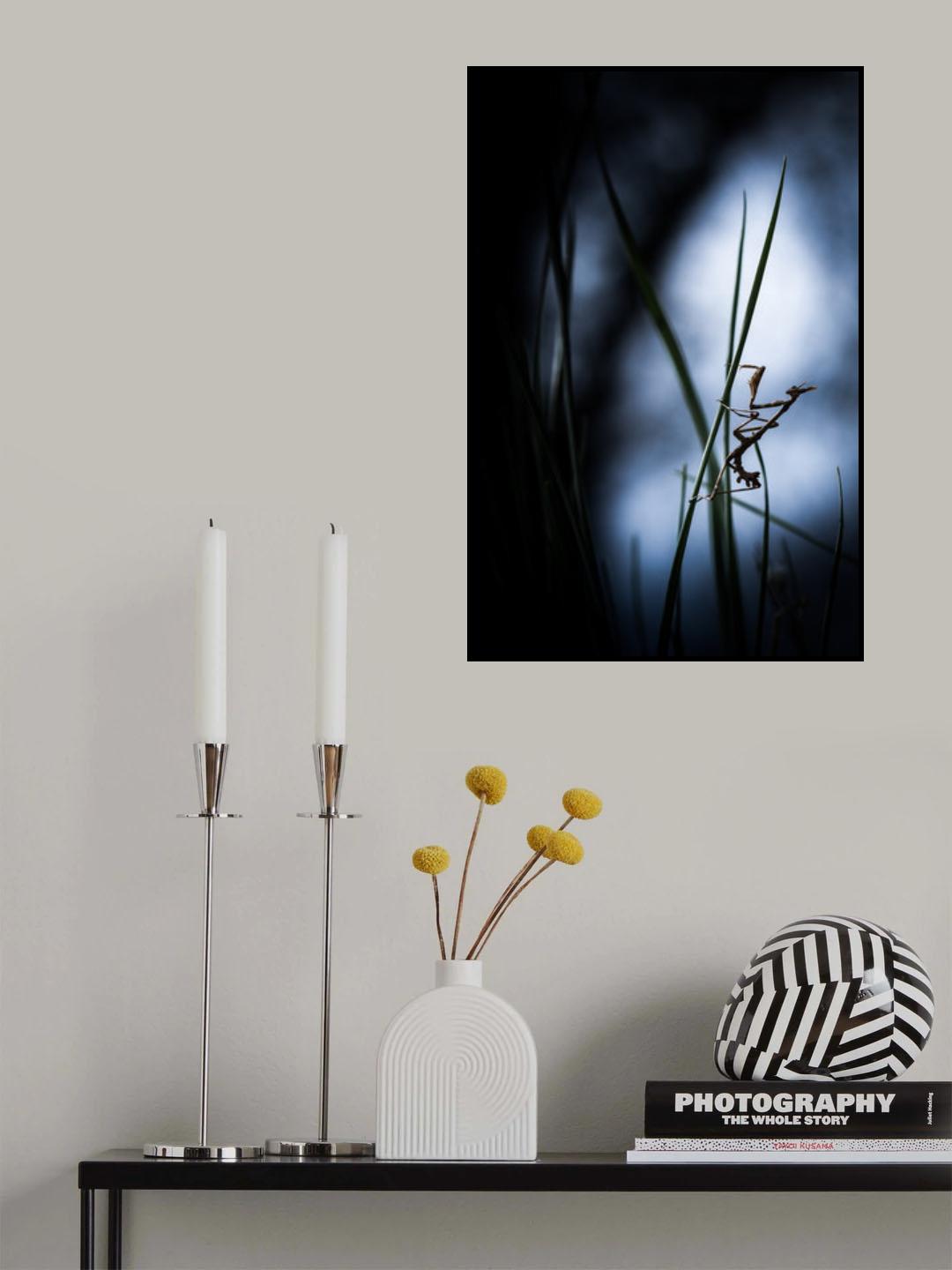 Shadow Poster och Canvastavla