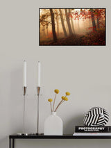 Towards the light. Poster och Canvastavla