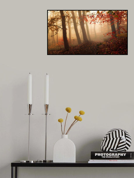 Towards the light. Poster och Canvastavla
