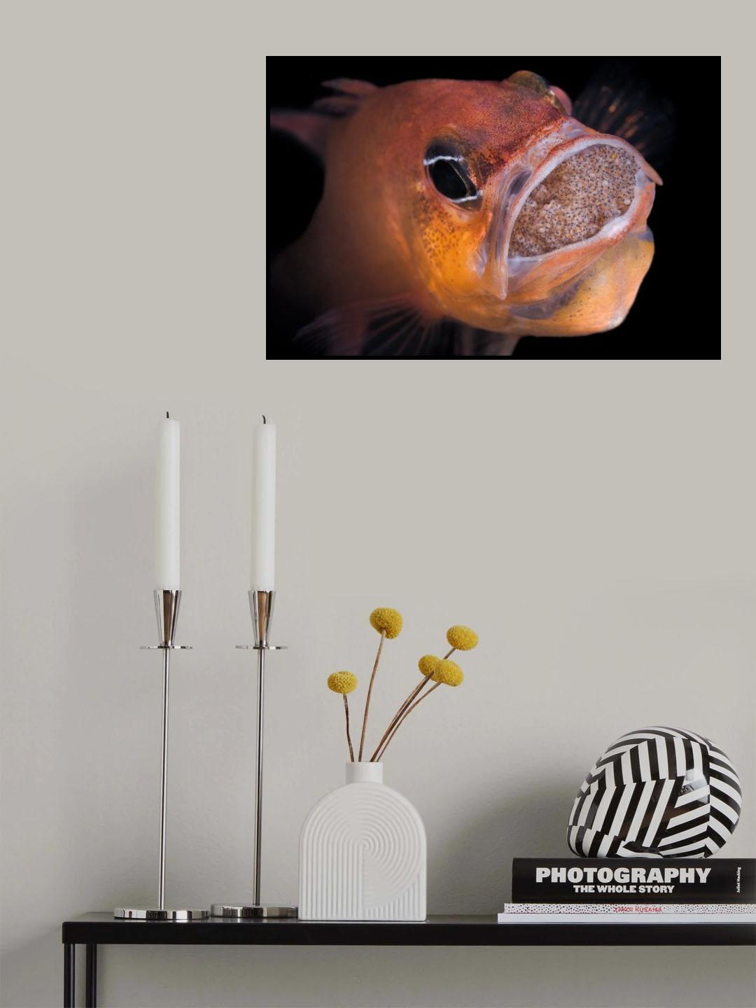 Poster och Canvastavla