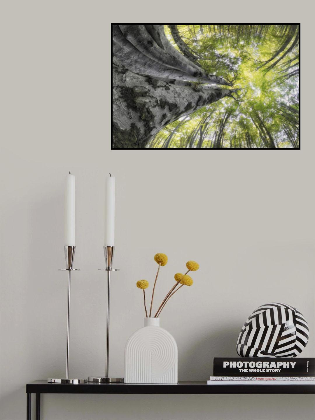 Bug's-eye view Poster och Canvastavla