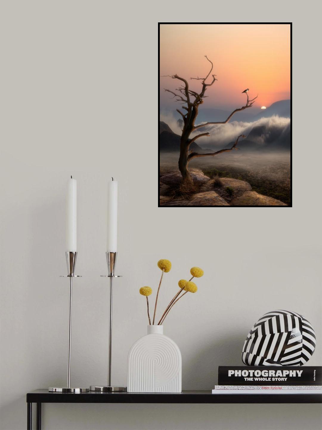 '...It's a new dawn, it's a new day, it's a new life....' Poster och Canvastavla