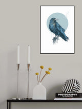 Blue crow Poster och Canvastavla