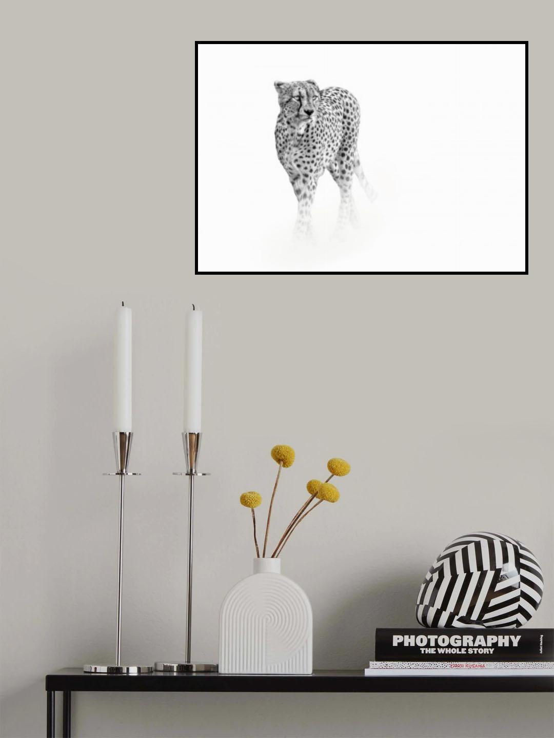 On prowl Poster och Canvastavla