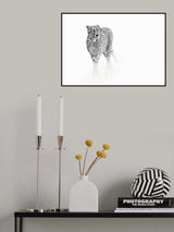 On prowl Poster och Canvastavla