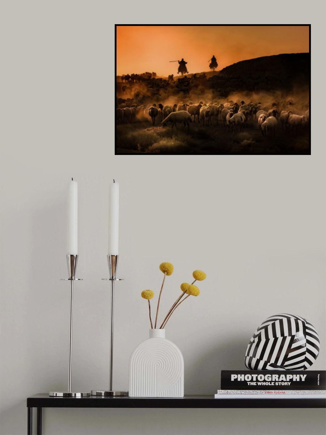 shepherd Poster och Canvastavla