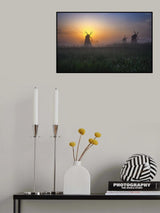 Morning glow Poster och Canvastavla