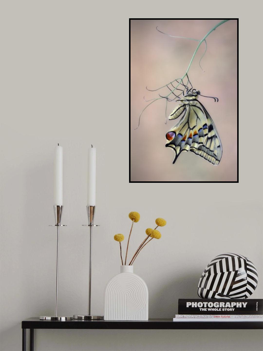 Papallona rei Poster och Canvastavla