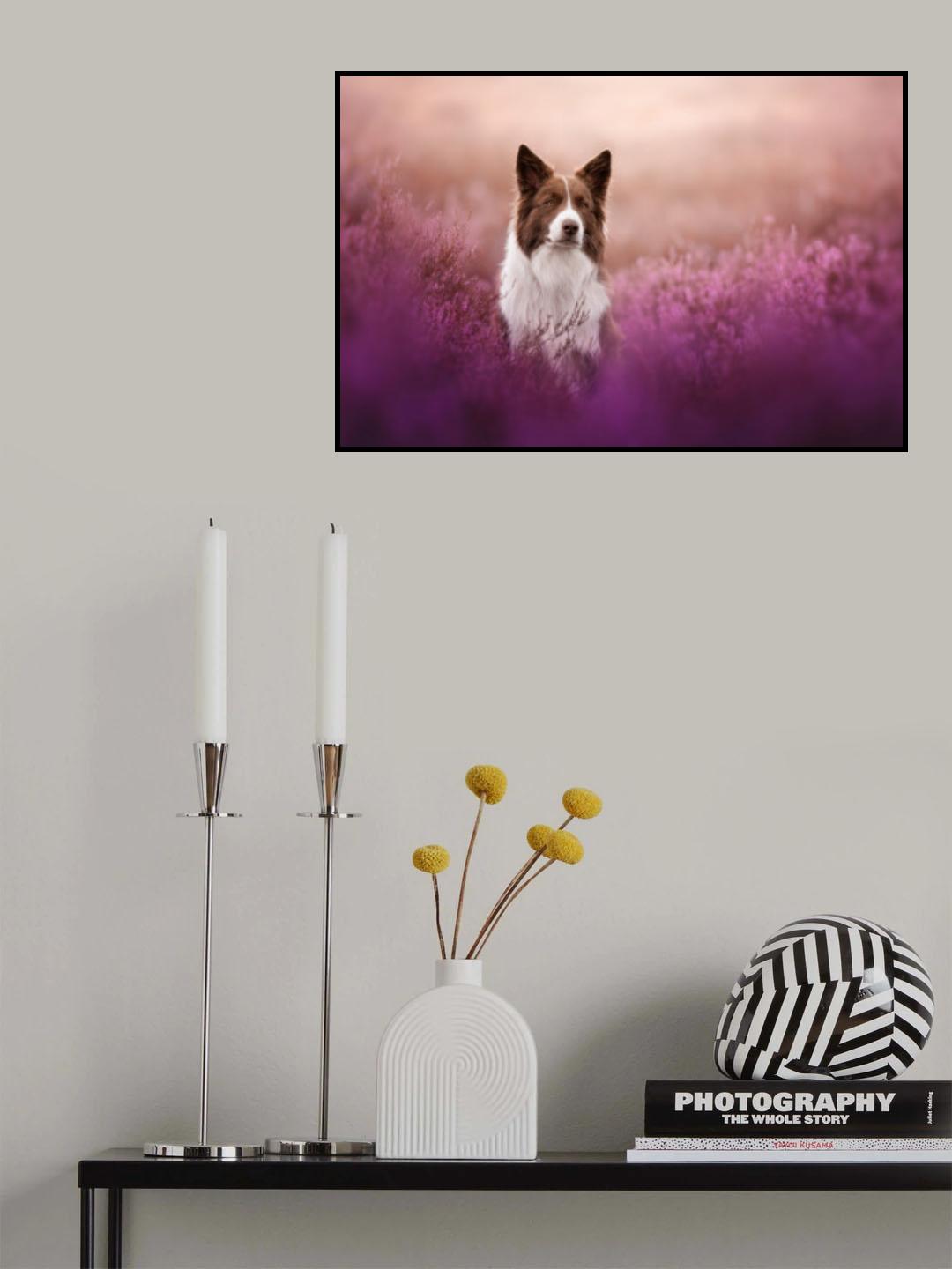 Heather boy Poster och Canvastavla