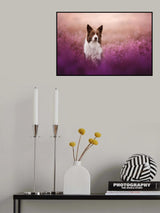 Heather boy Poster och Canvastavla