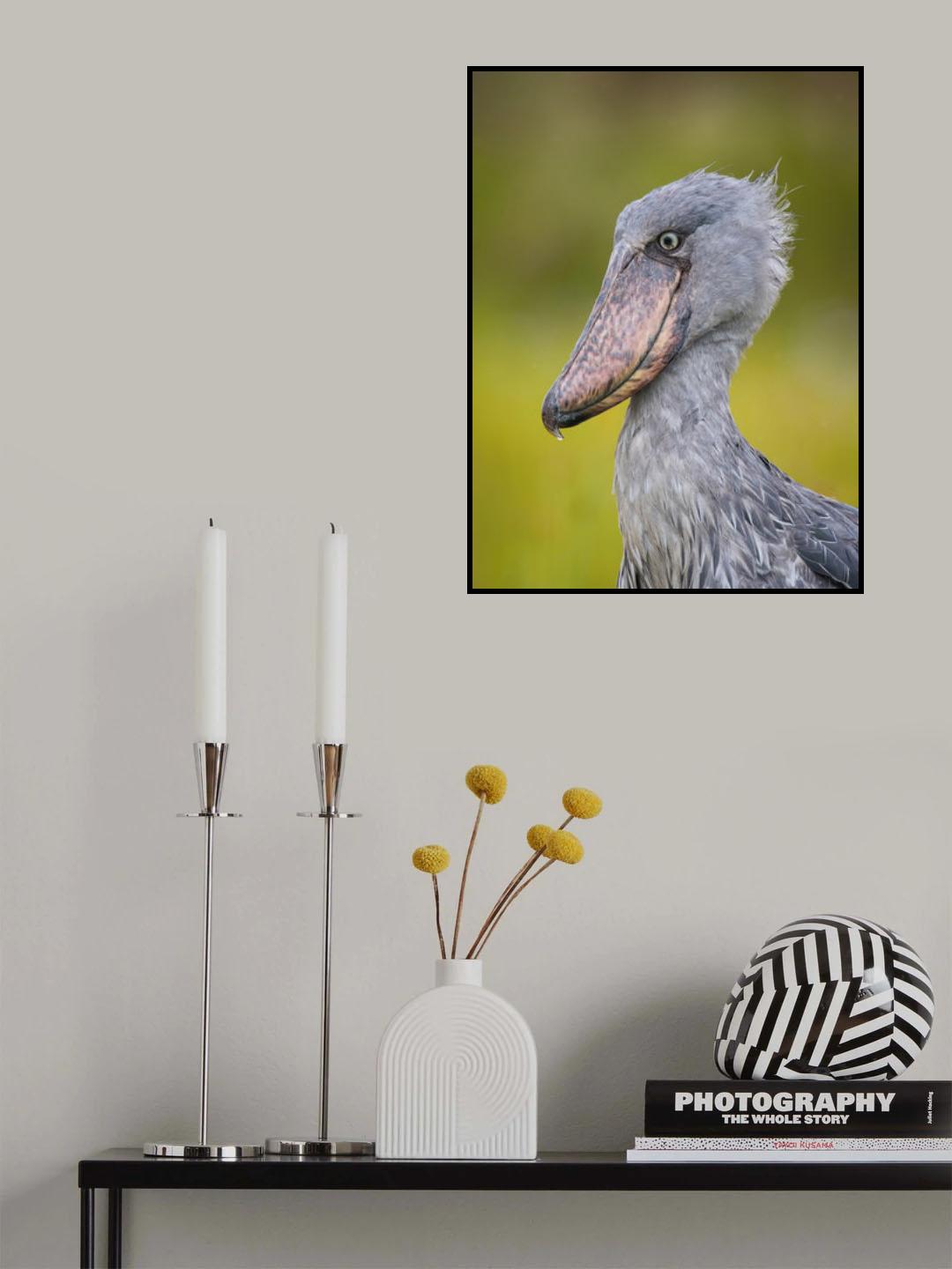 The Shoebill, Balaeniceps rex or Shoe-Billed Stork Poster och Canvastavla