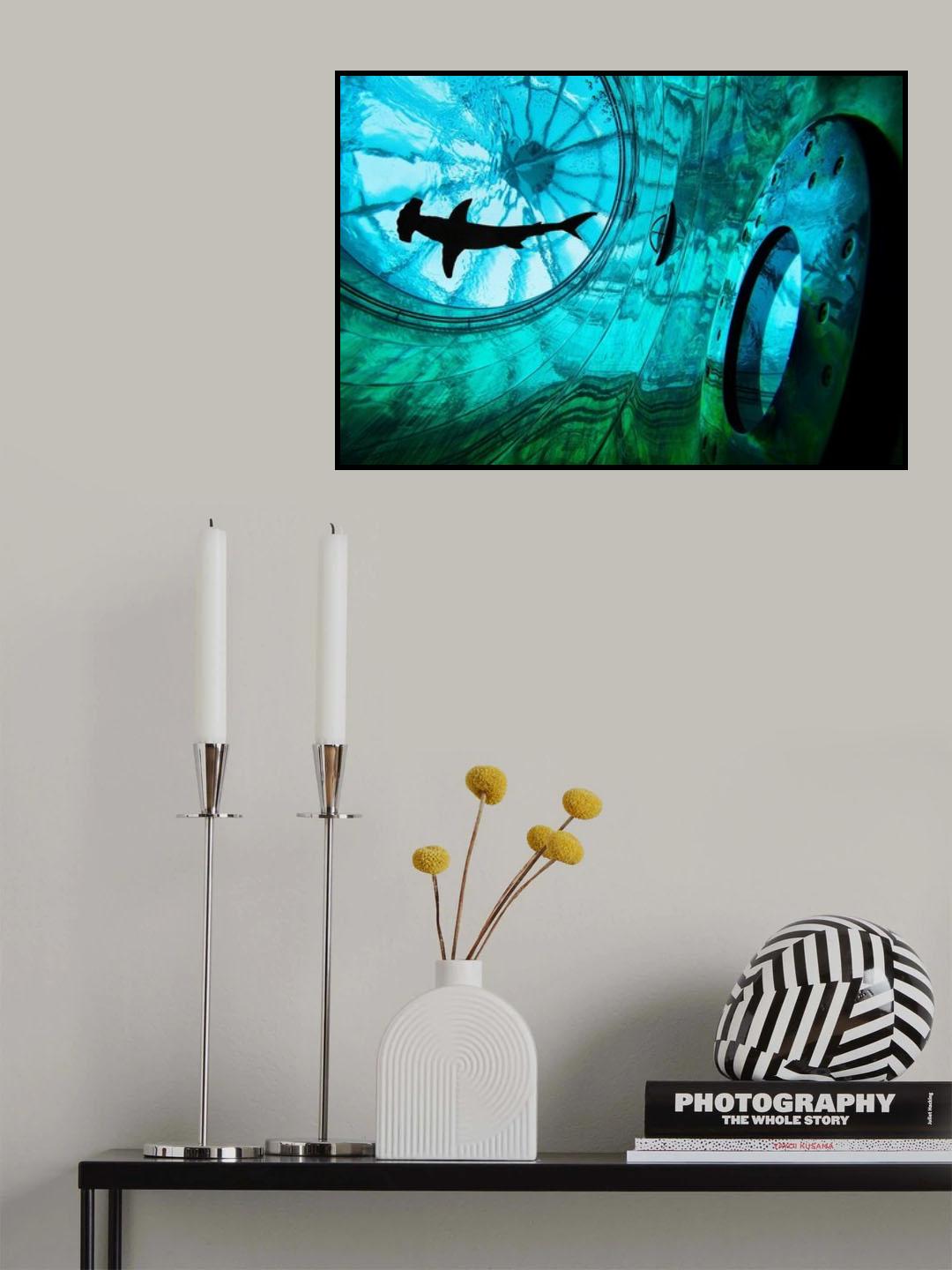 Once in the pool Poster och Canvastavla