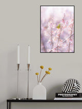 Zosterops japonicus Poster och Canvastavla