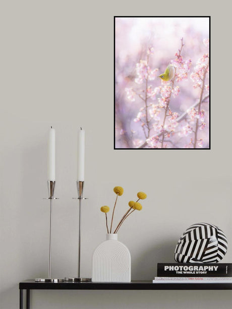 Zosterops japonicus Poster och Canvastavla