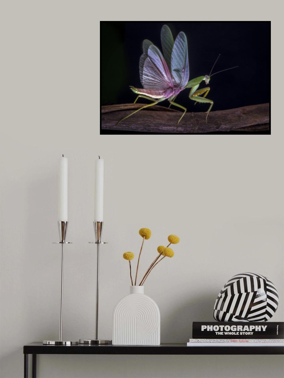 Mantis blooming Poster och Canvastavla