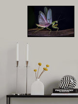 Mantis blooming Poster och Canvastavla
