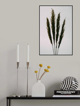 Dried Grass Poster och Canvastavla
