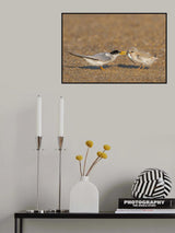 Feeding Poster och Canvastavla