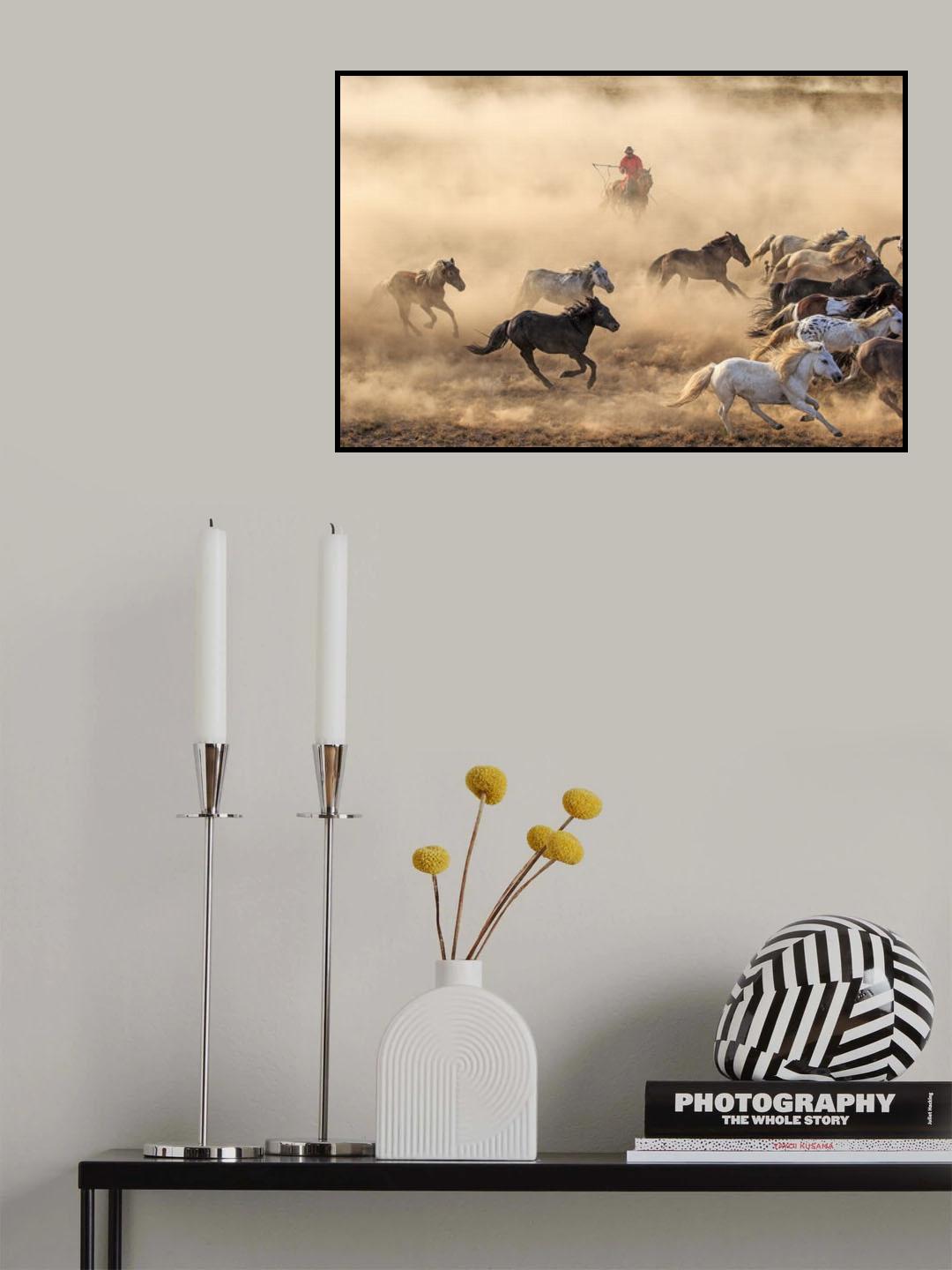 Horse Run Poster och Canvastavla