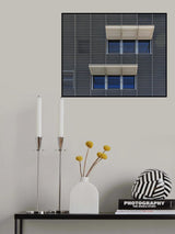 Twins Poster och Canvastavla