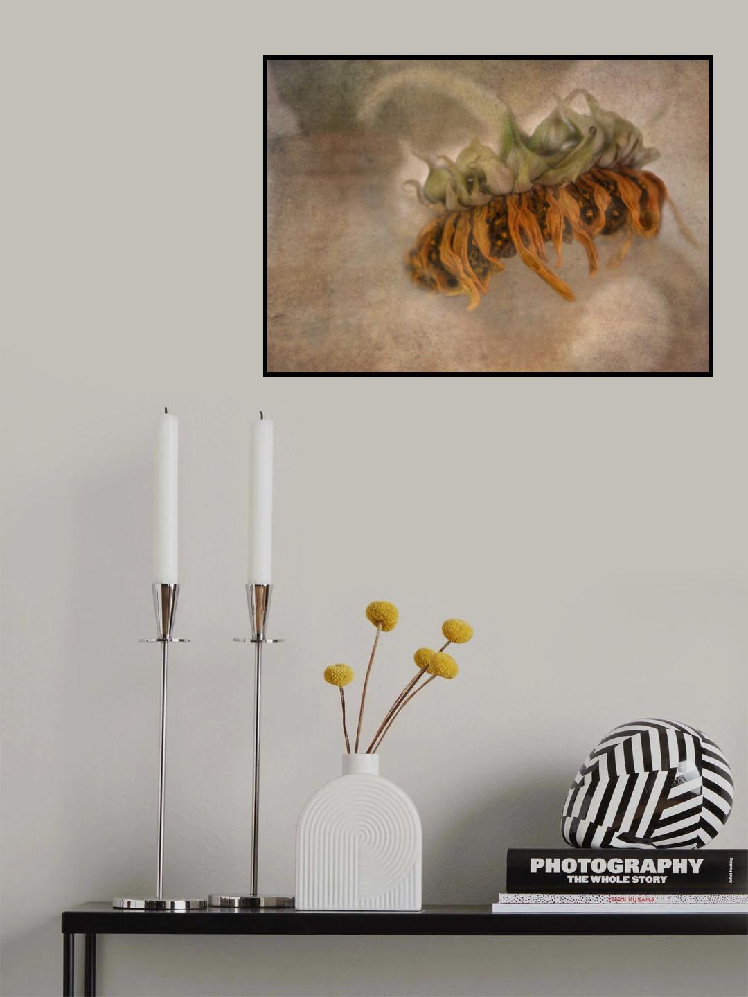 Decay Poster och Canvastavla